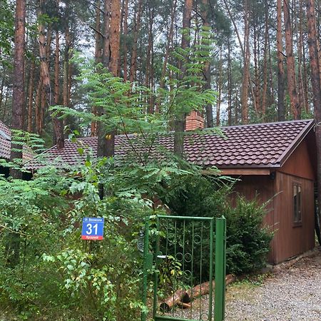 Przytulny Domek W Lesie Blisko Rzeki Ryczywol  Exterior photo